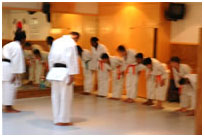 shotokan karate