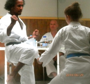 Shotokan Karate 